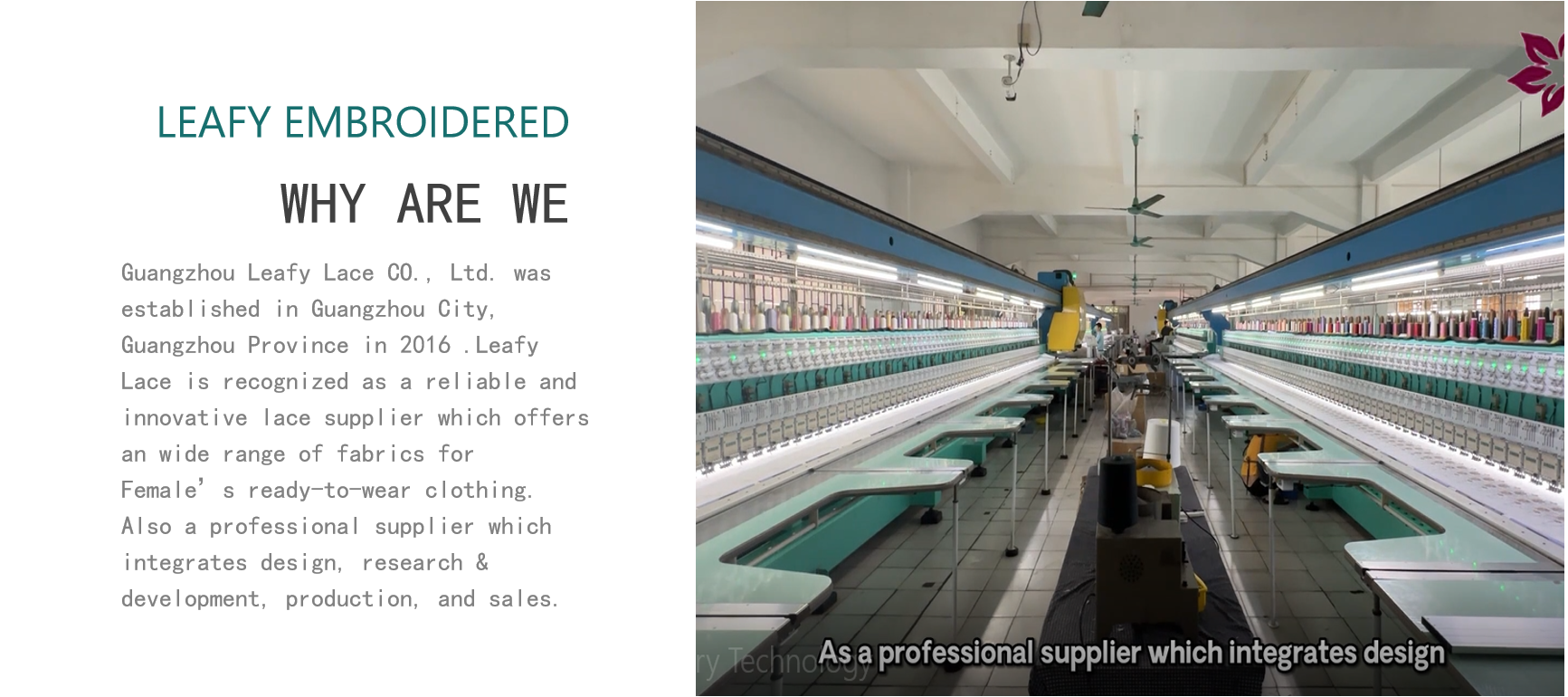 qualità Tessuto ricamato del pizzo fabbrica