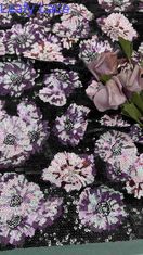 Tulle a maglia di tessuto ricamato di 49 pollici da donna
