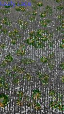 Stoffa ricamata a seghe eleva i tuoi disegni con eleganza e stile