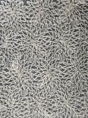 Lavori all'uncinetto il tessuto di Tulle Mesh Swiss Floral Lace Applique