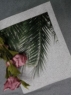 Il nero Dot Glitter Tulle Mesh Foil del partito ha stampato il tessuto