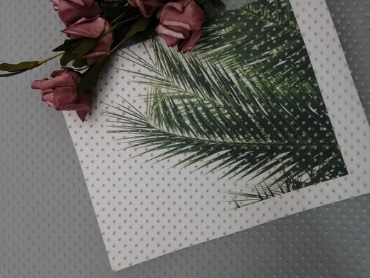 Polka affollata verde Dot Mesh Fabric di scintillio di Tulle