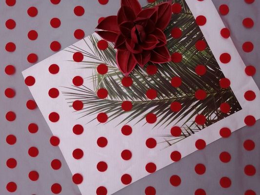Grande Polka rossa Dot Tulle Flocked Mesh Fabric