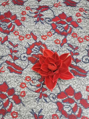 Grande vestito femminile colorato floreale rosso dal tessuto del pizzo all'uncinetto del ricamo