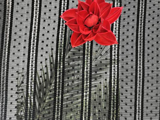 Tessuto del pizzo di Mesh Pleated Dot Embroidery Striped