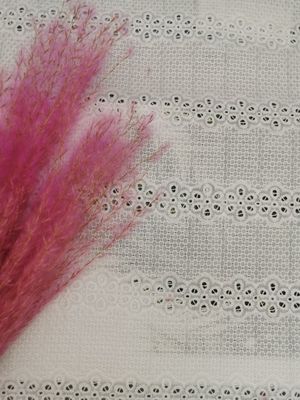 Il Broderie lineare ricamato munisce di occhielli il tessuto 100% della camicia da notte del cotone del tessuto