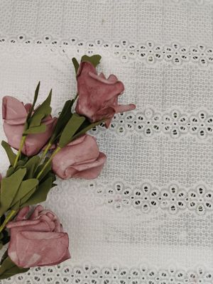 Il Broderie lineare ricamato munisce di occhielli il tessuto 100% della camicia da notte del cotone del tessuto