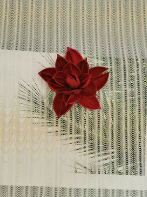 Tono lineare legato con corde del ricamo di Geo - Tone Polyester Lace Trim