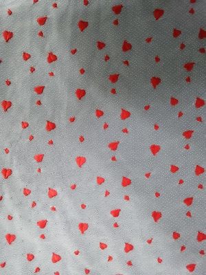 Il cuore rosso della bambina libera dell'azo ricamato merletta il vestito da sera del tessuto