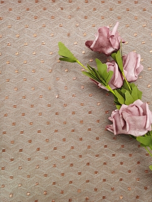 Il colore di Brown ha ricamato il pizzo metallico Dot Lace leggero di Tulle del tessuto del pizzo