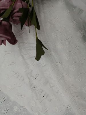Il pizzo molle ha ricamato il panno di cotone del tessuto dell'occhiello per l'abito da sera